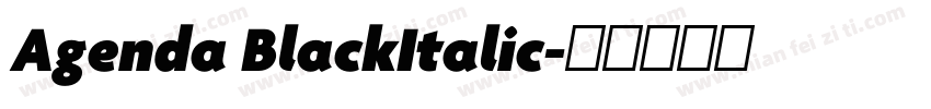 Agenda BlackItalic字体转换